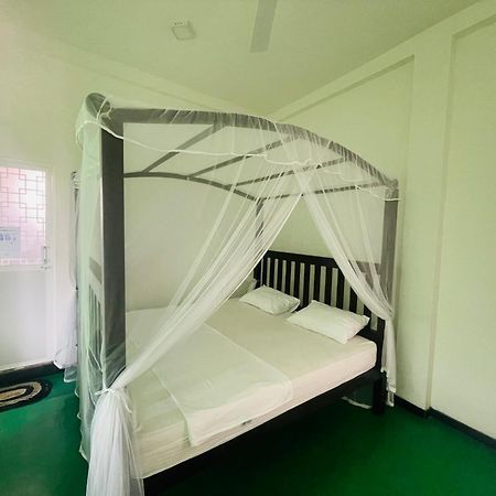 Why Not Backpackers Hostel Mirissa Buitenkant foto