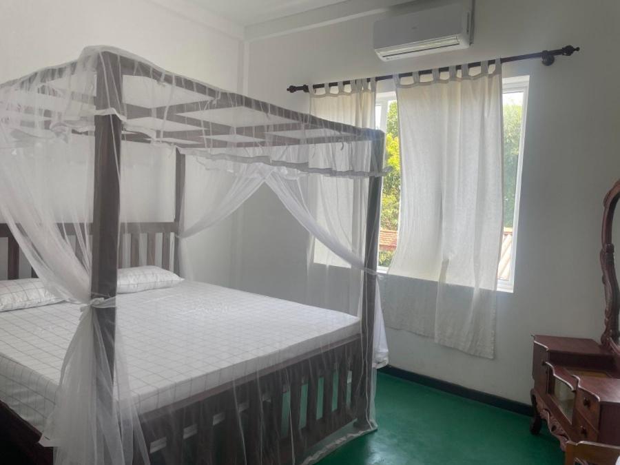 Why Not Backpackers Hostel Mirissa Buitenkant foto