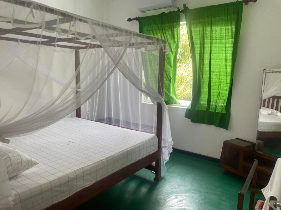 Why Not Backpackers Hostel Mirissa Buitenkant foto