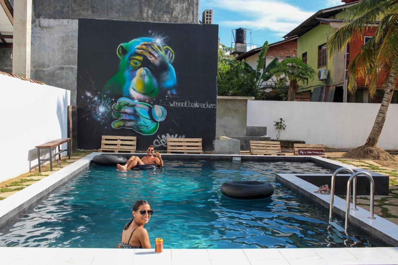 Why Not Backpackers Hostel Mirissa Buitenkant foto