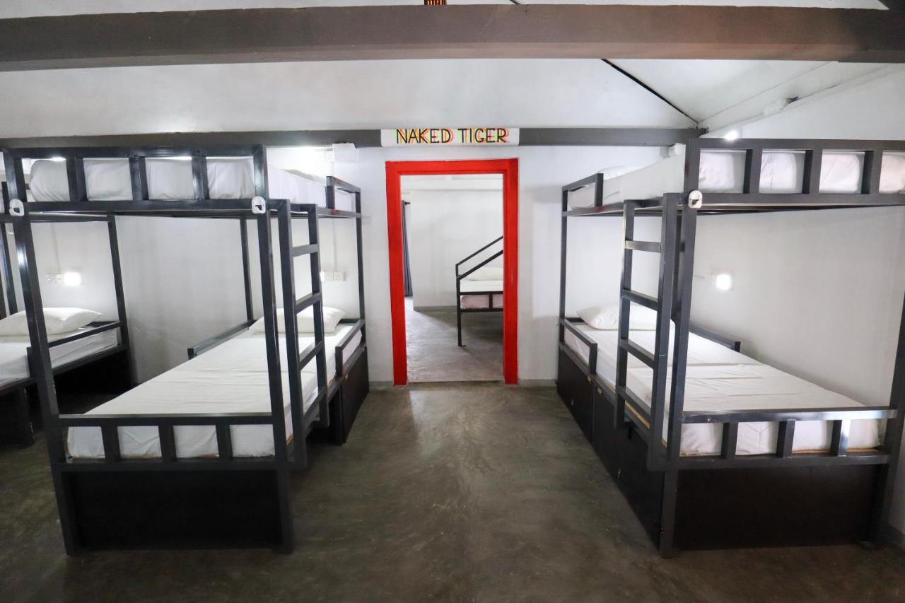Why Not Backpackers Hostel Mirissa Buitenkant foto